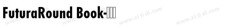 FuturaRound Book字体转换